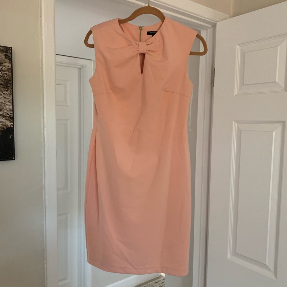 Sharagano Pink Dress